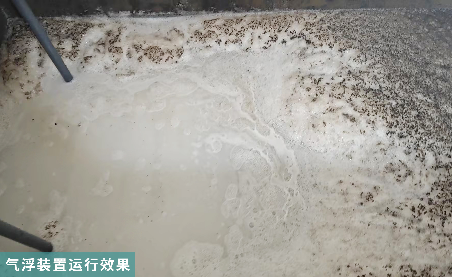 气浮运行效果02.jpg