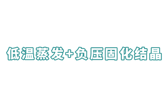 低温蒸发+负压固化结晶